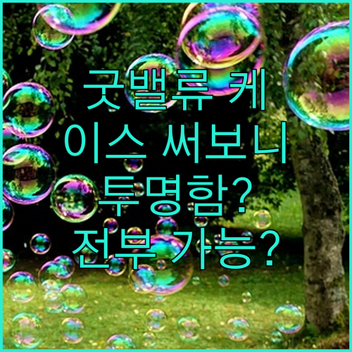 굿밸류 케이스 써보니 투명함과 카드 