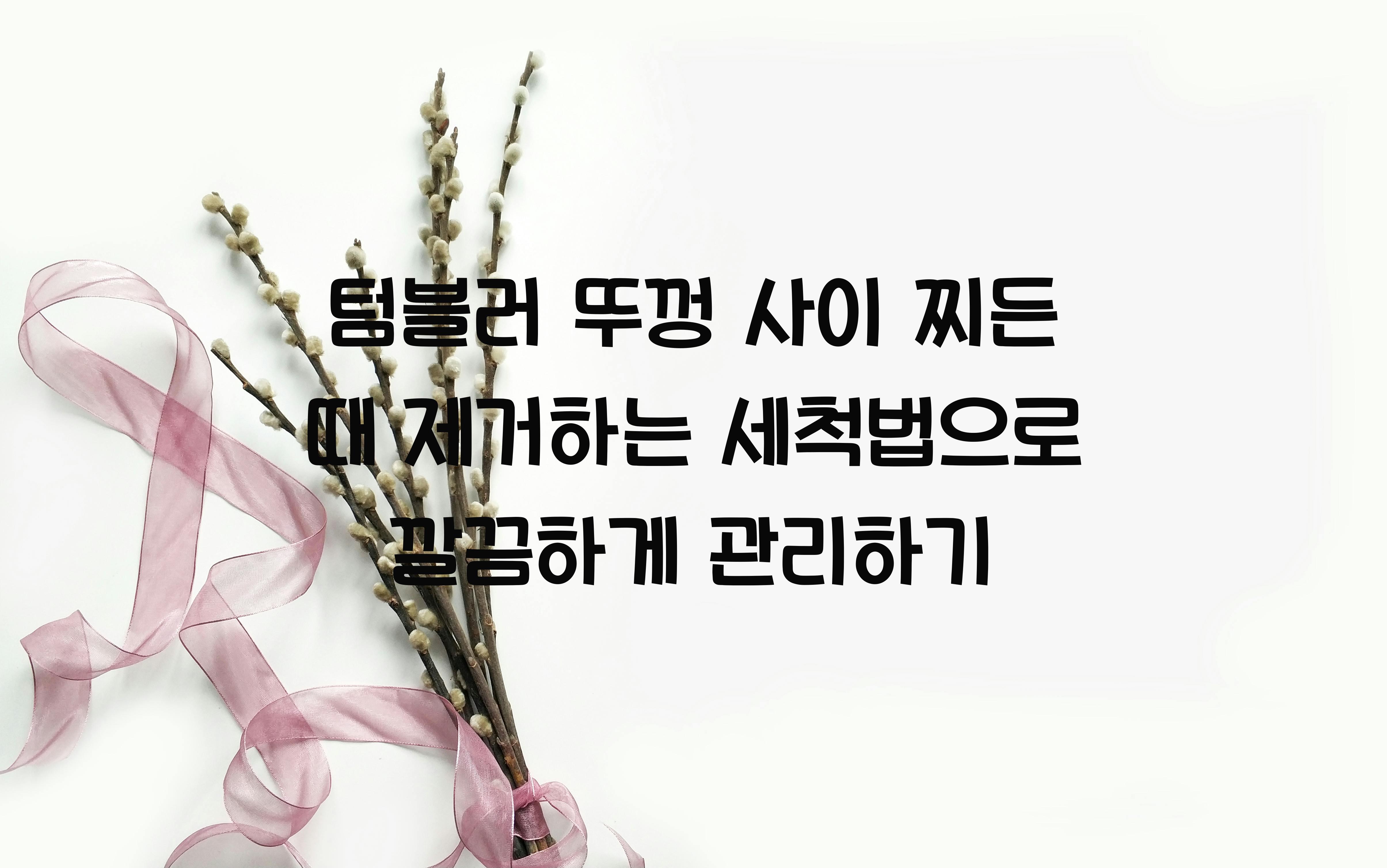 텀블러 뚜껑 사이 찌든 때 제거하는 세척법