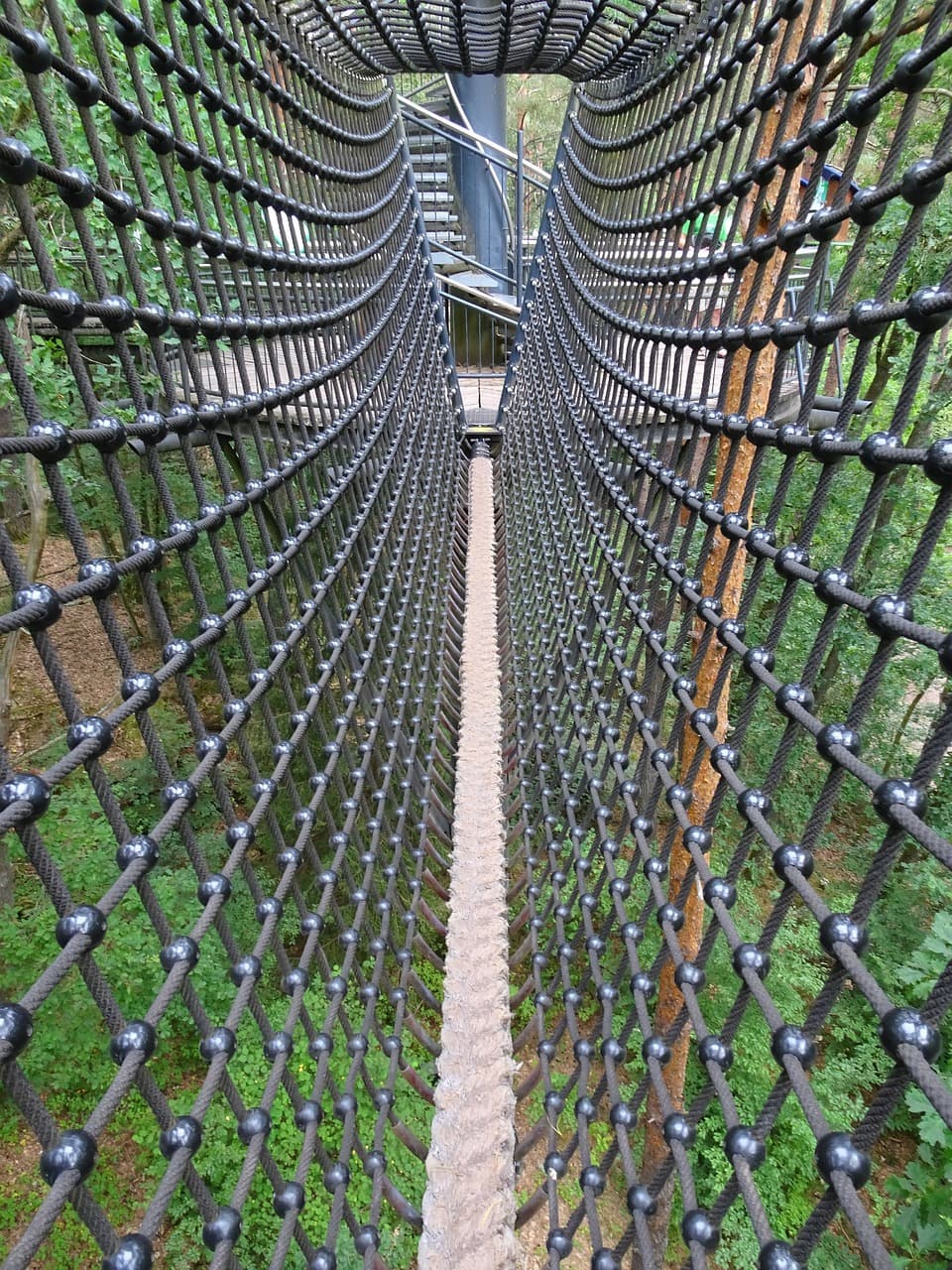 도심 속에서 생존하는 법