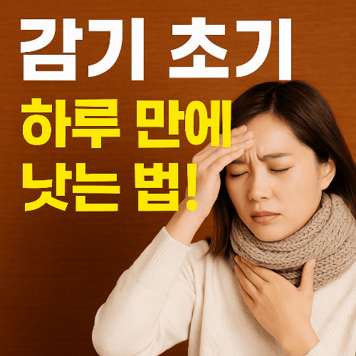 감기 초기 하루 만에 낫는 법