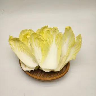 알배기 배추 물김치 담그는 법 및 보관 방법 총정리_11