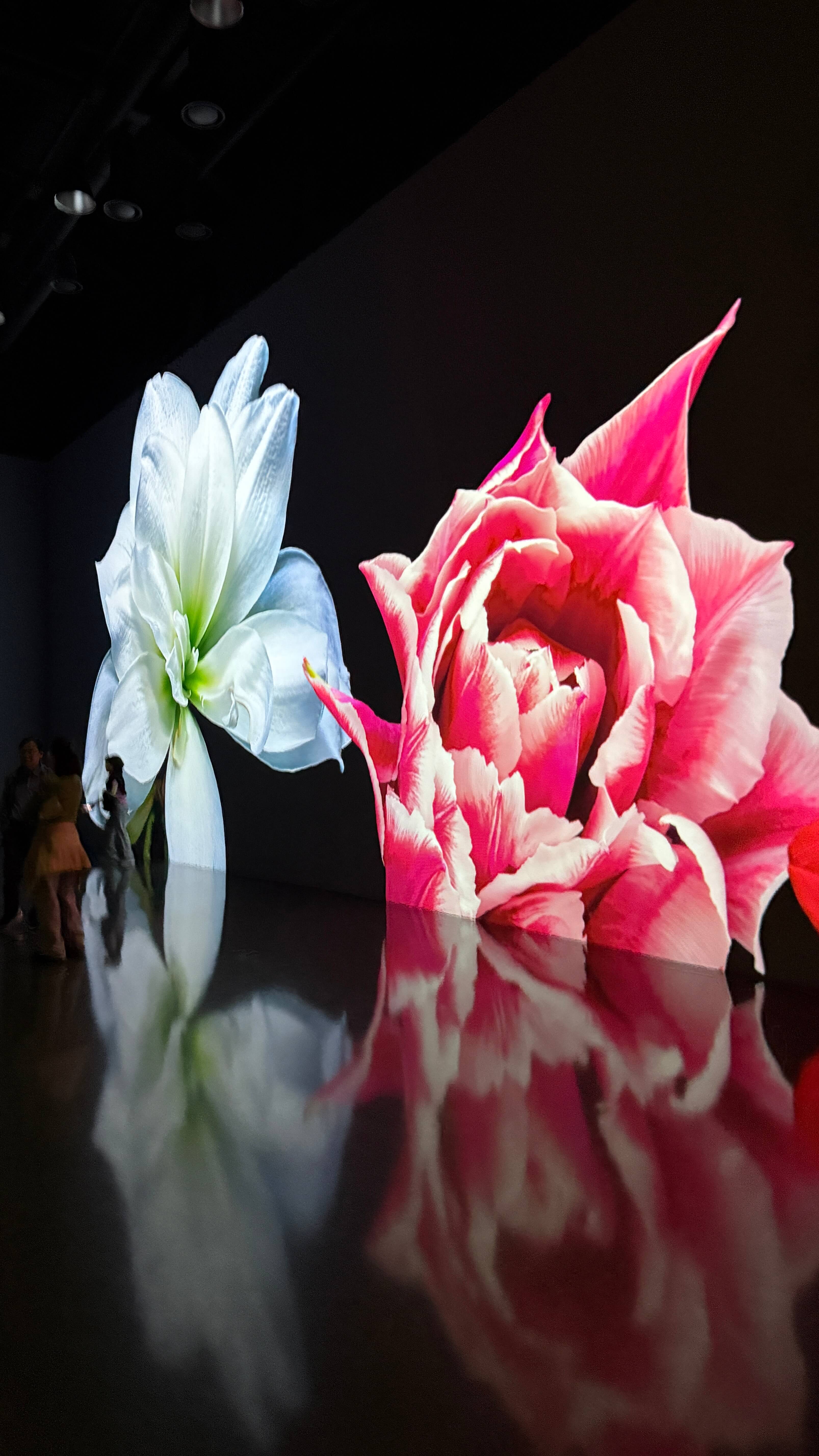 화담채 별관 미디어아트