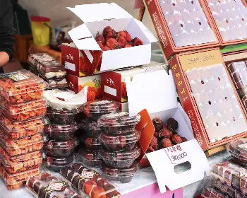 양촌 곶감축제_21