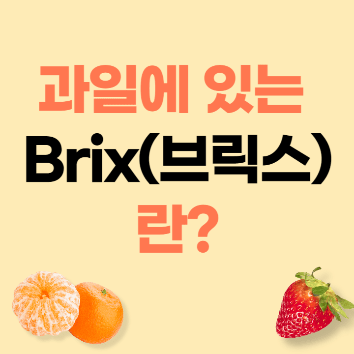 과일 당도 기준은 브릭스에 대한 안내