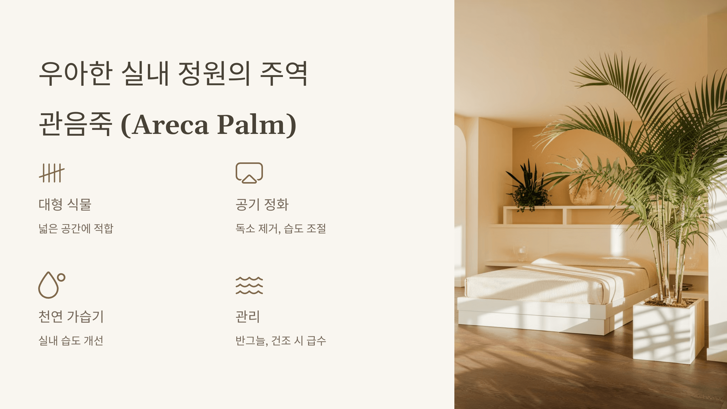 관음죽 (Areca Palm)