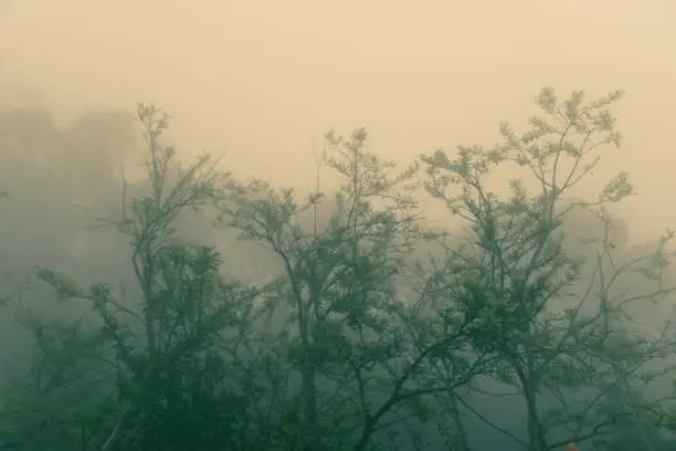 대기환경산업기사