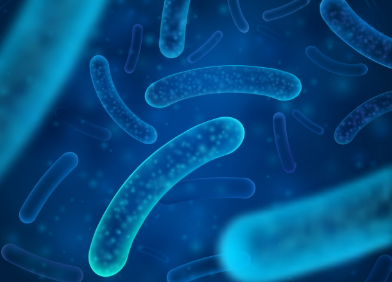 유산균 추천,프로바이오틱스