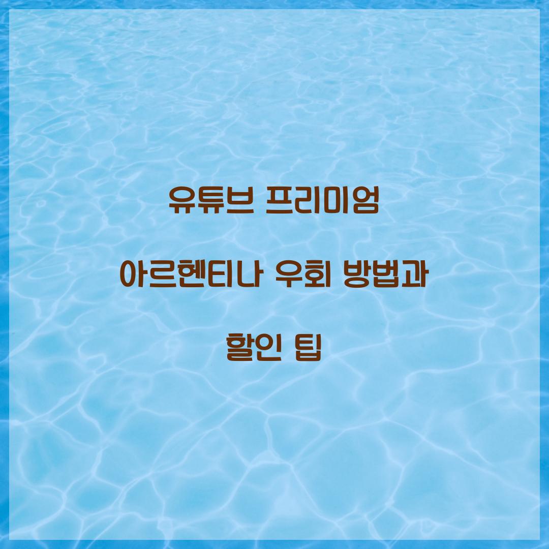 유튜브 프리미엄 아르헨티나 우회