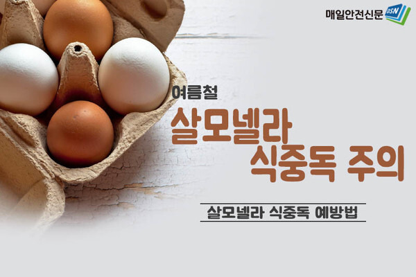 [여름철 살모넬라 식중독] 52% 발생! 달걀, 김밥 안전하게 먹는 법