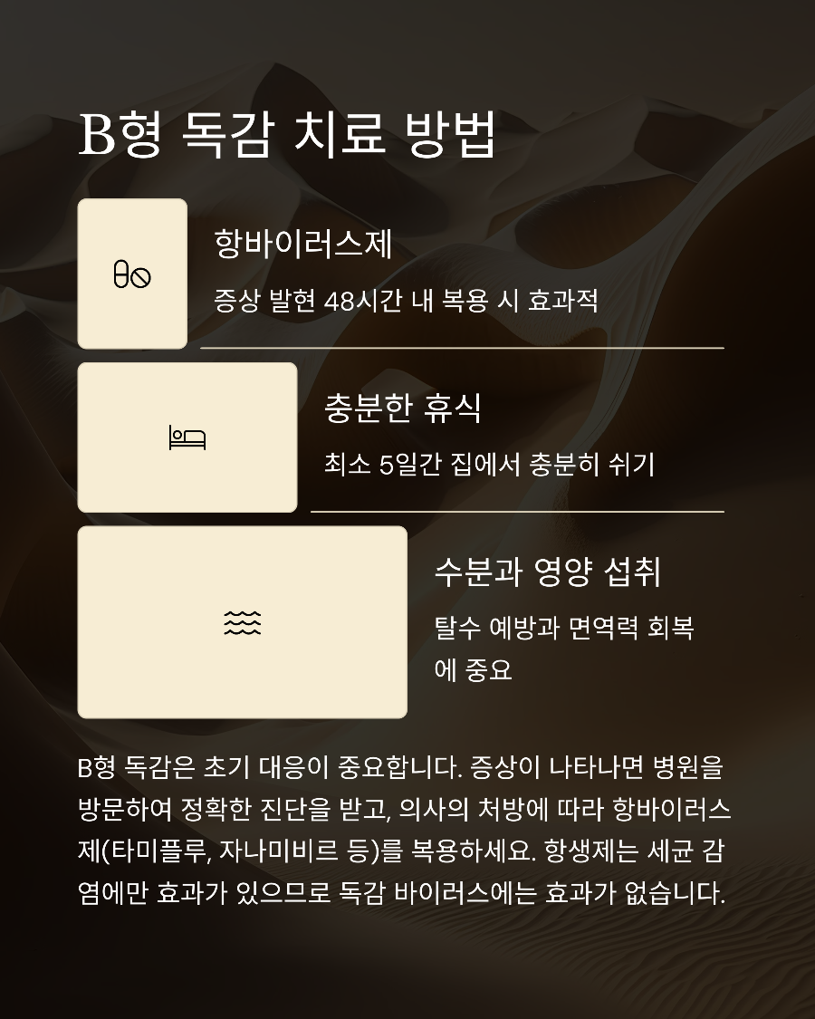 B형 독감 치료 방법 💊