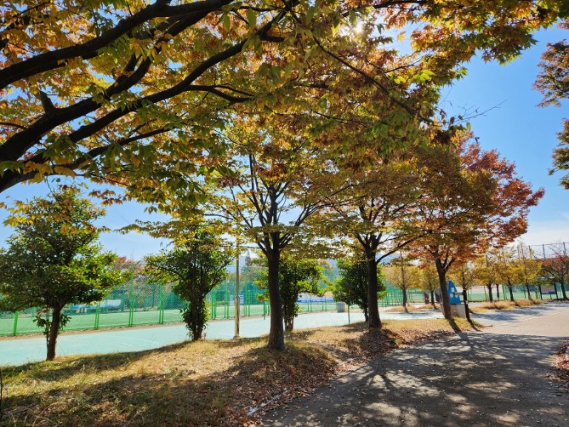 부산 사하구 강변환경공원 파크골프장 소개