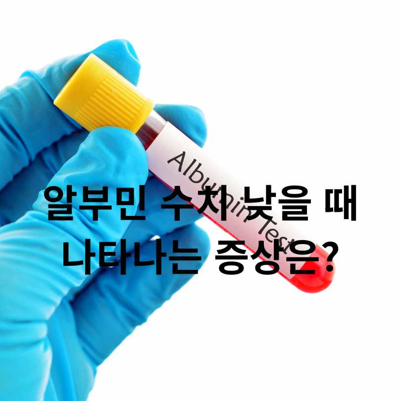알부민 효능 총정리