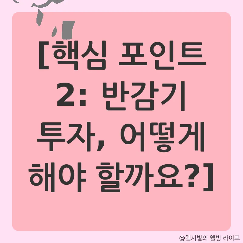 비트코인 반감기 투자 전략_2