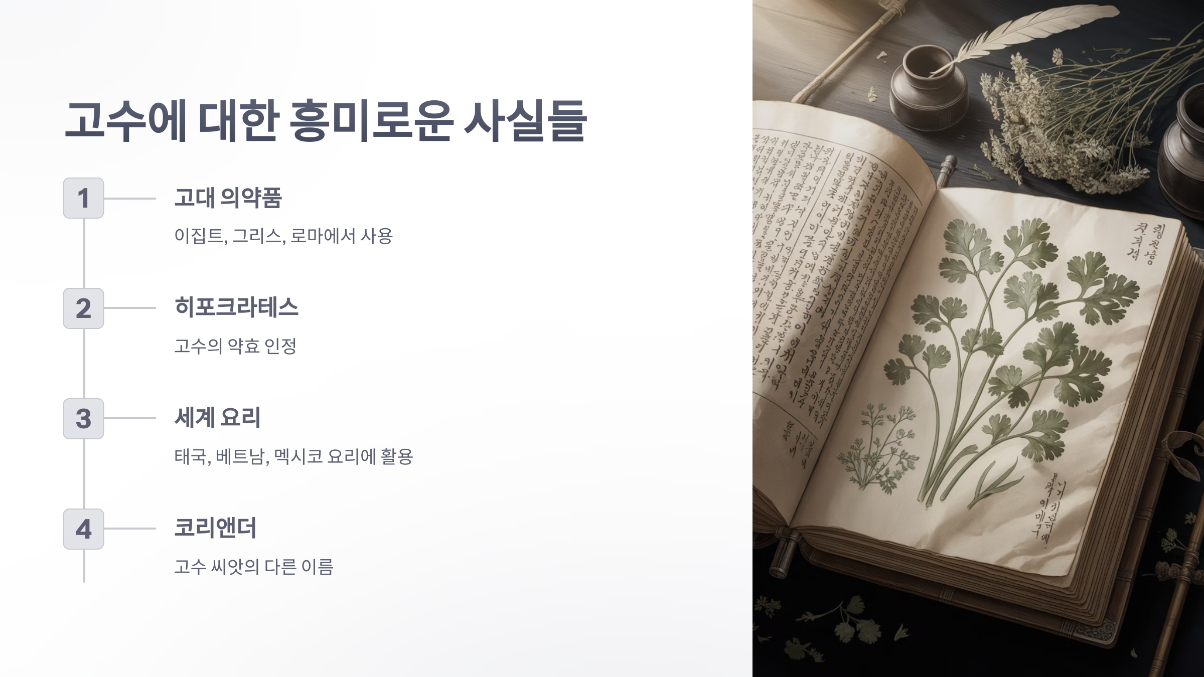 참조-건강음식-'고수'-5