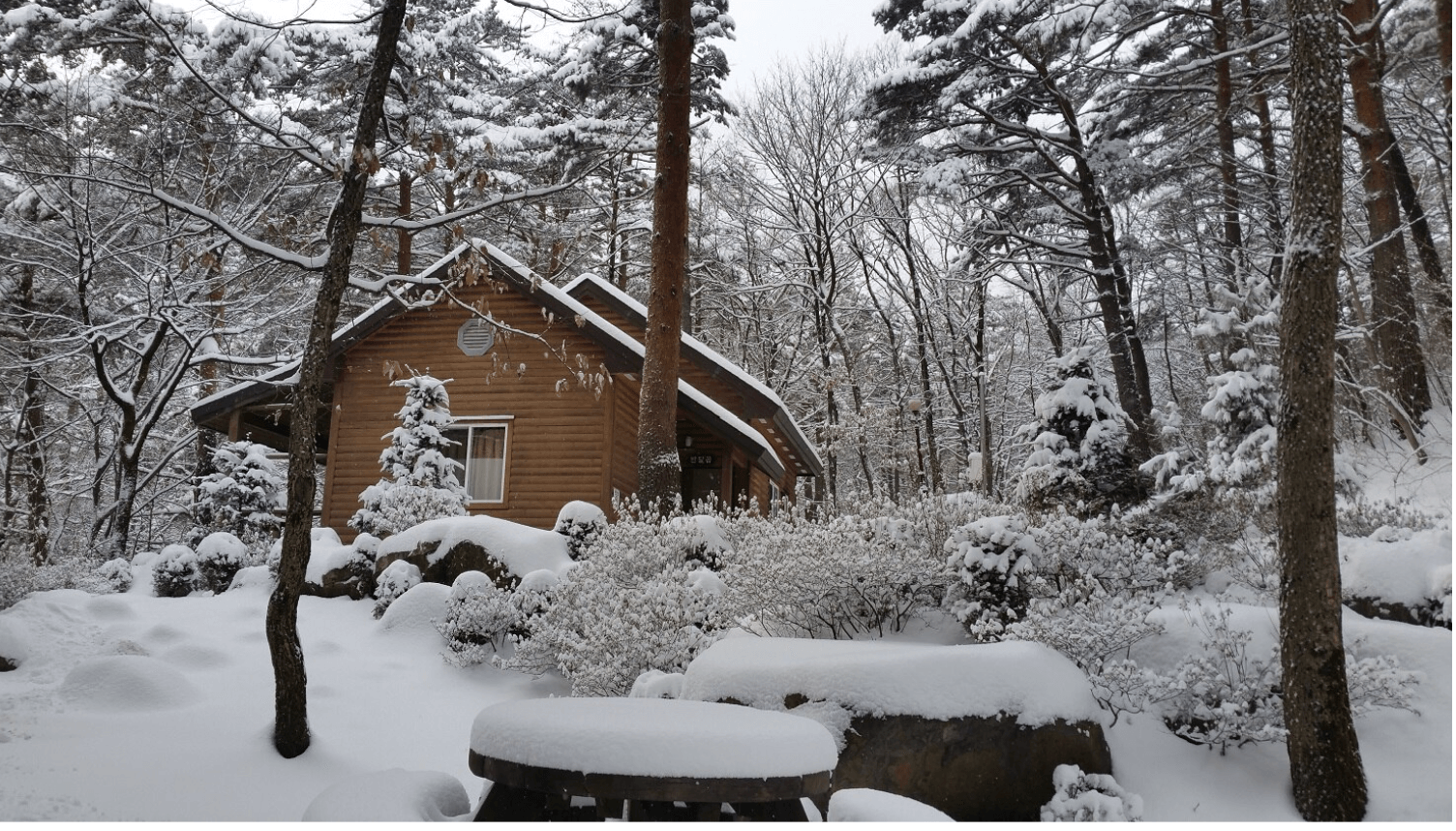 국립자연휴양림 
