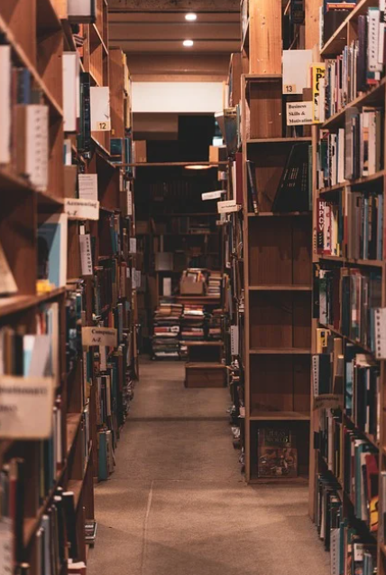 소도시 도서관의 비밀: 지역만의 특별한 서적과 프로그램