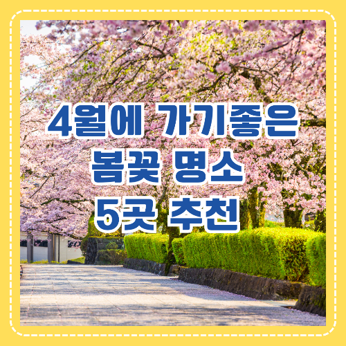 벗꽃길