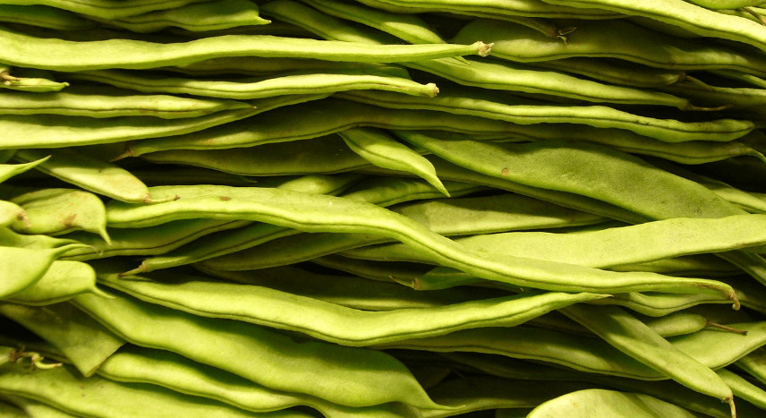 간 기능에 좋은 음식 사진 - 2