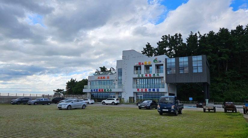 송석항해물칼국수