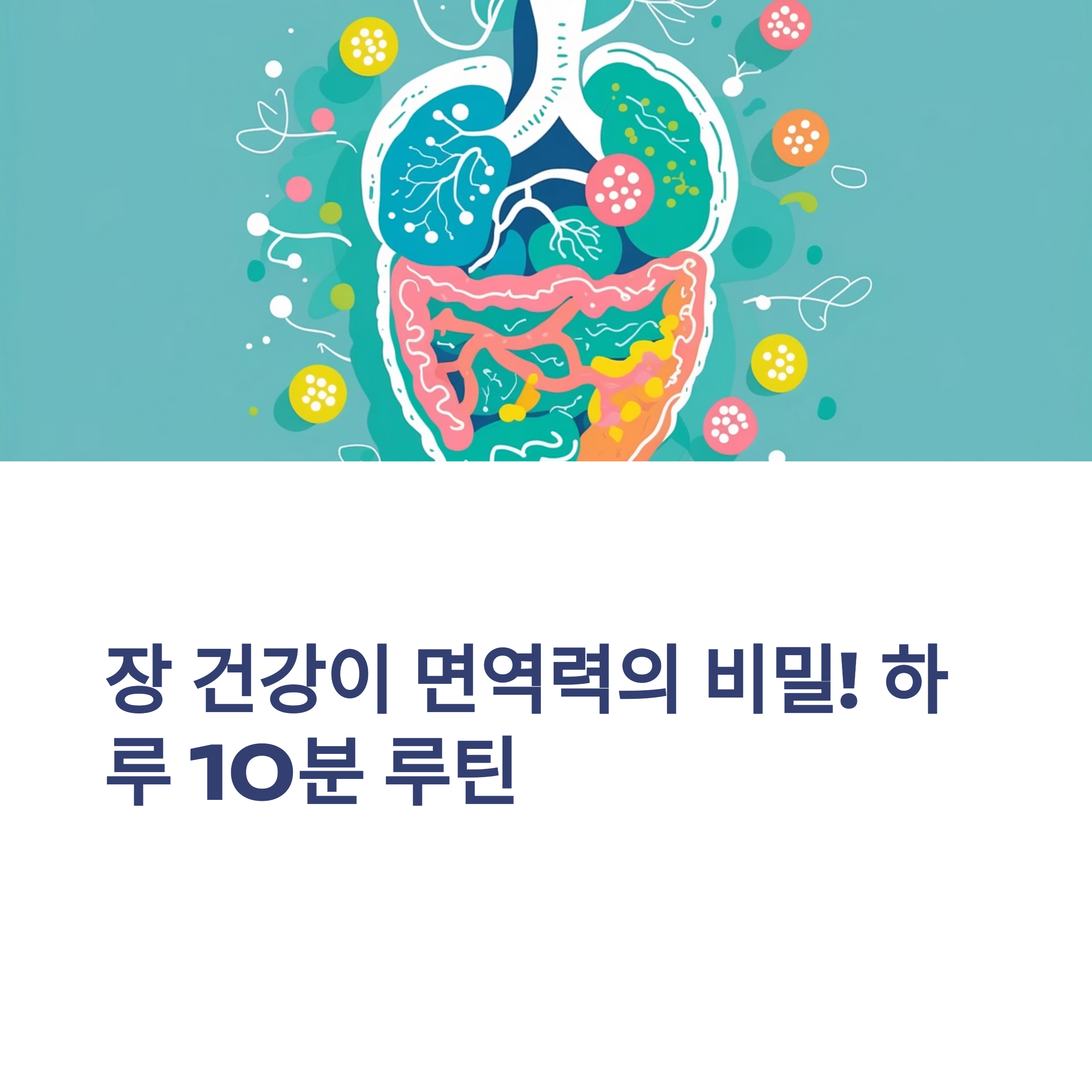 장 건강이 건강의 비결! 하루 10분 루틴