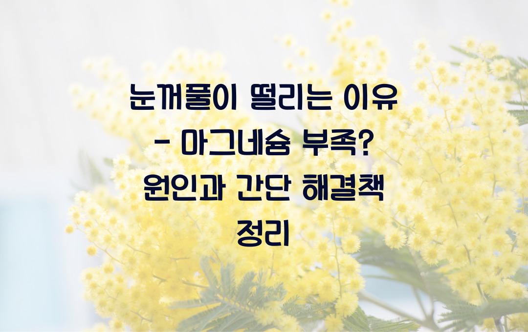 눈꺼풀이 떨리는 이유 - 마그네슘 부족? 원인과 해결책 정리!