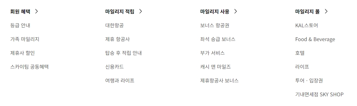 셀프 체크인 및 수하물 규정 안내 화면