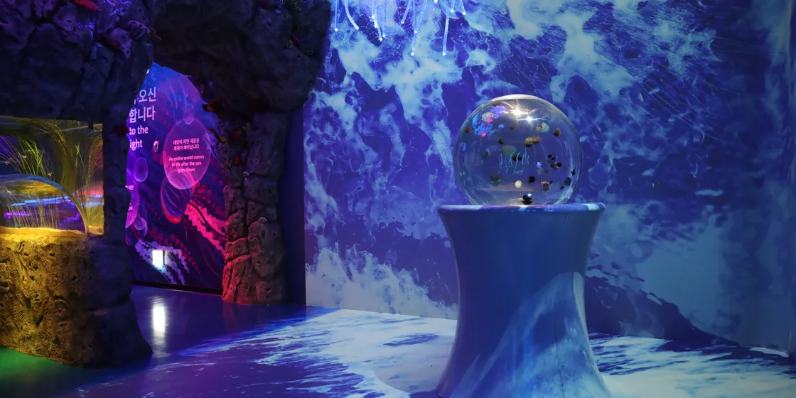 코엑스 아쿠아리움 도심 속 해양 생태 체험&amp;#44; 아이와 함께!