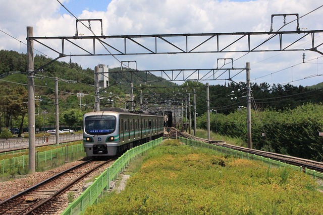 K패스