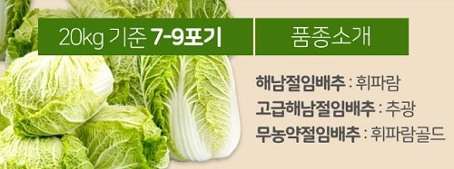 출처-이장며느리-절임배추20kg-천일염-절임배추-김장-해남절임배추