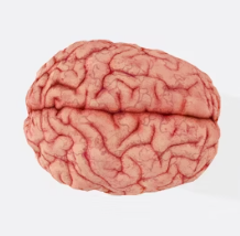 뇌졸중 전조증상 5가지 예방법 원인