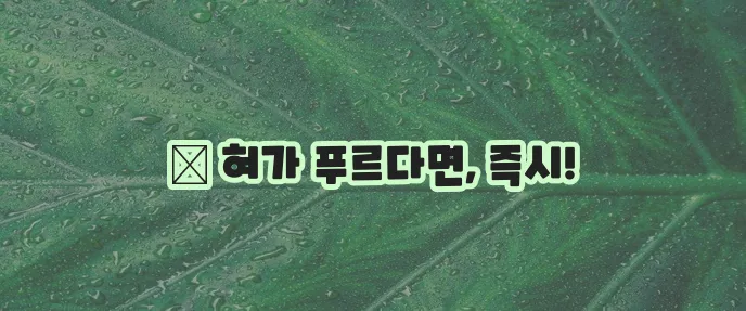 강아지 혓바닥 청색증과 치료법 반드시 알아야 합니다