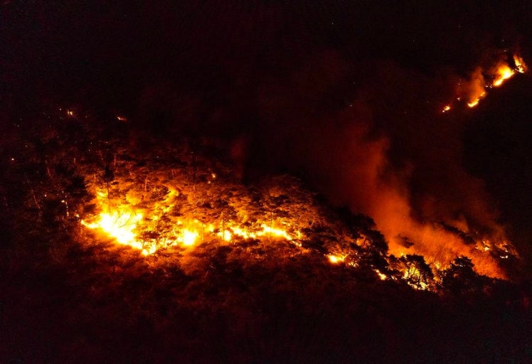 영덕 산불 관련 사진