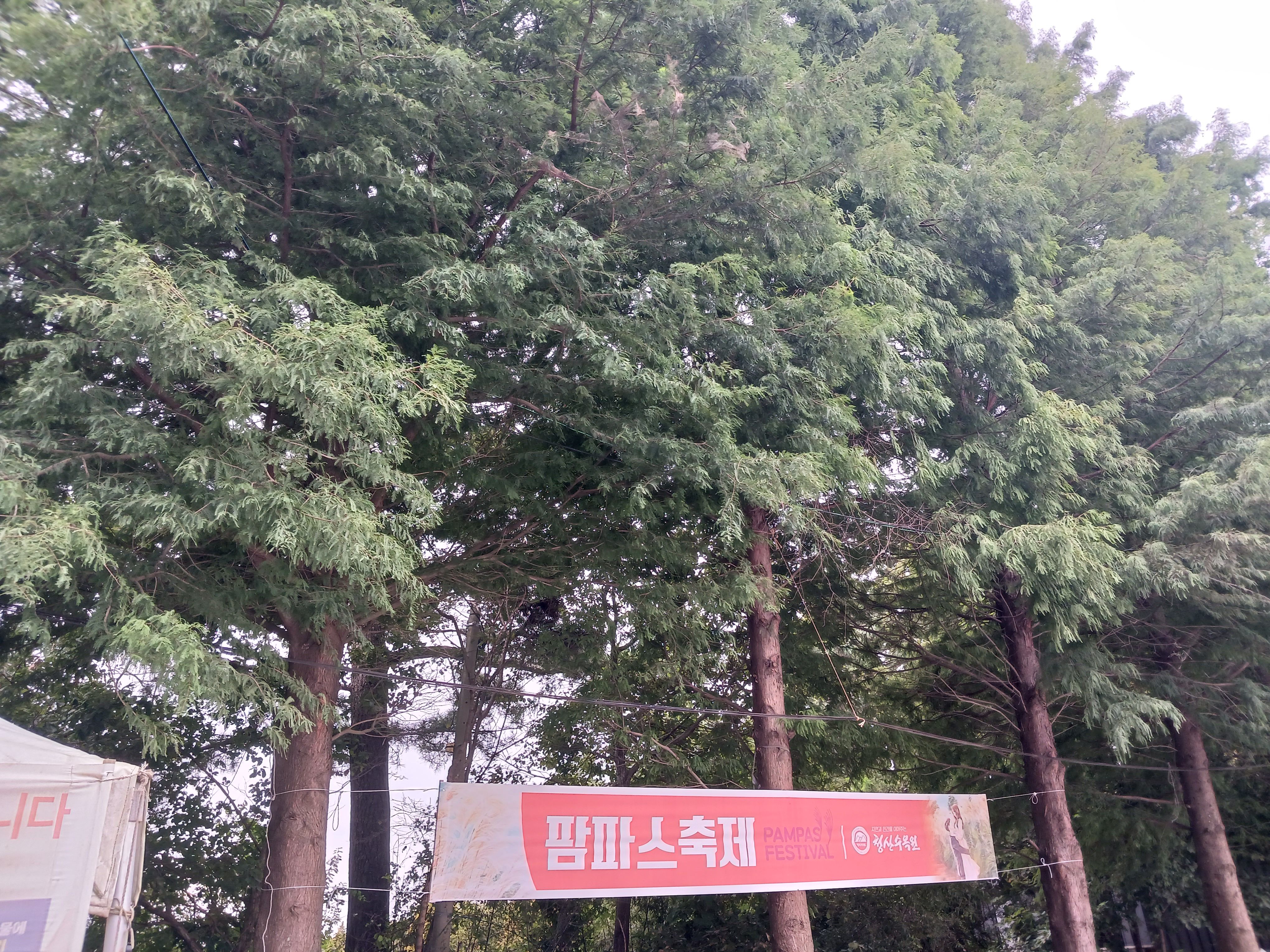 청산수목원