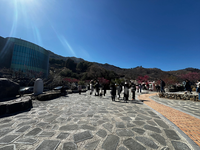 24년 광양 매화 축제 일정 요금 주차