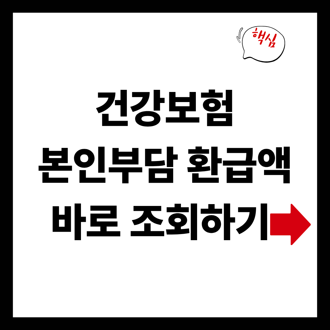 건강보험 본인부담 환급액 바로 조회하기