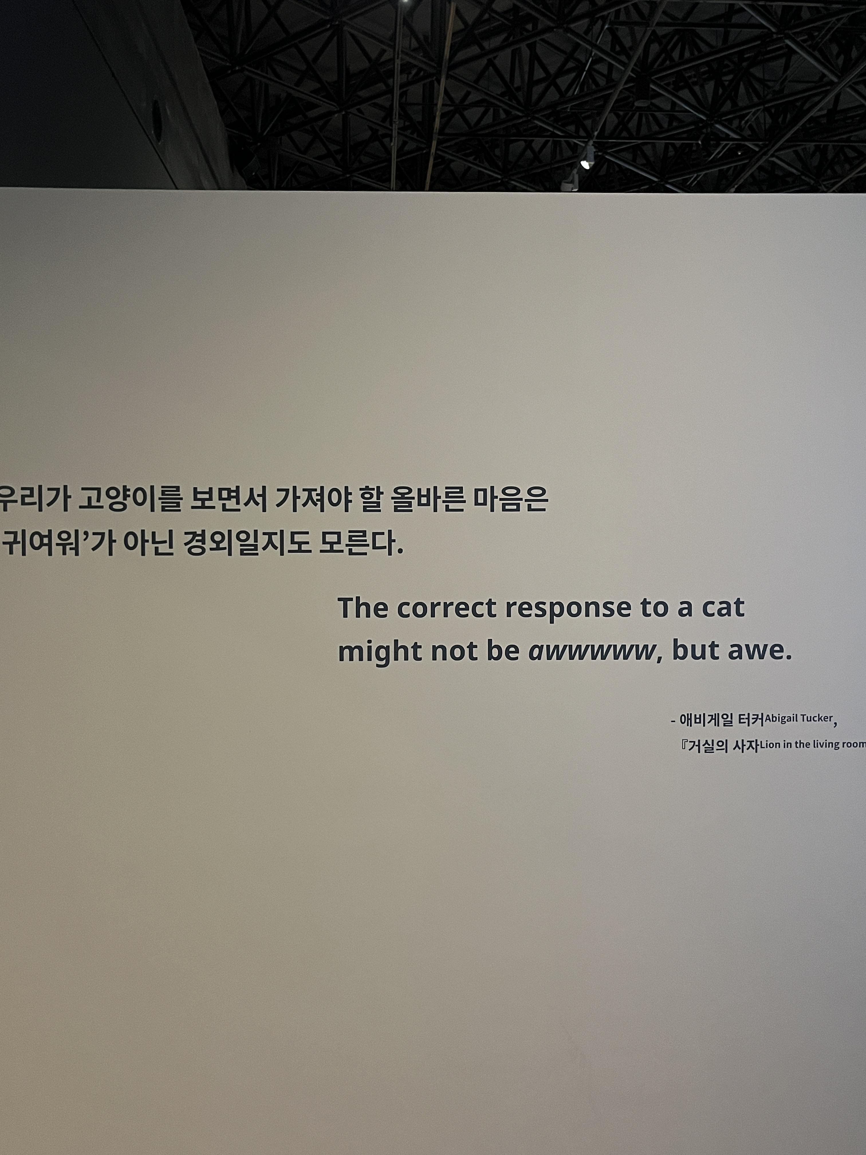 요물 우리를 홀린 고양이