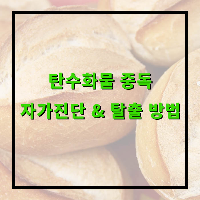 나도 혹시 탄수화물 중독? 자가진단 &amp; 탈출 방법!