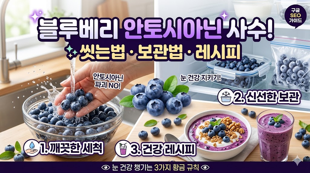 블루베리 씻는법