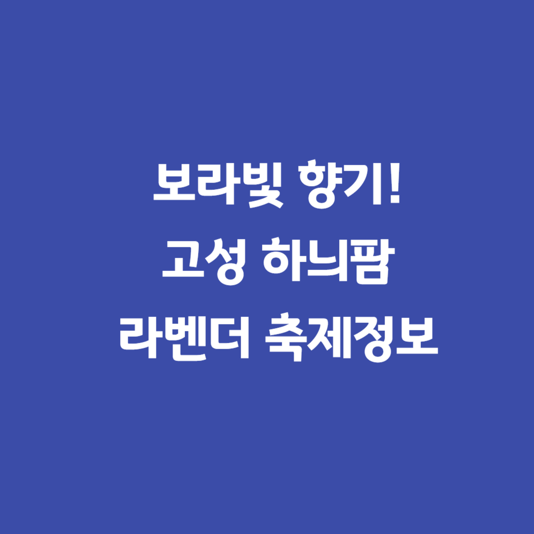 고성하늬팜라벤더축제