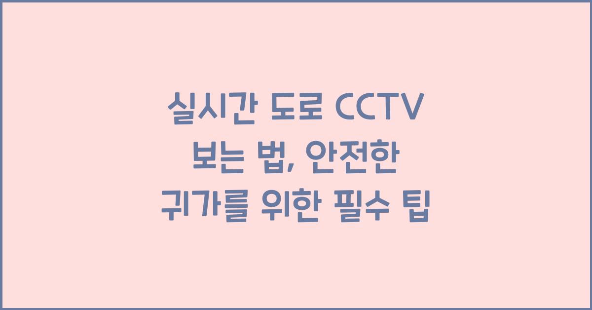 실시간 도로 cctv 보는 법