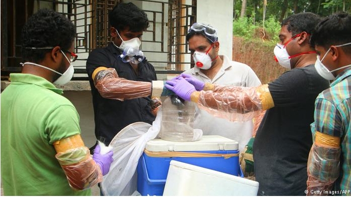 니파바이러스,니파바이러스 국내