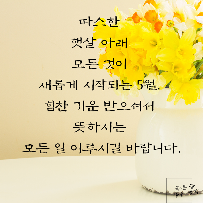 5월 인사말 문구 이미지 모음집 카톡 문자 메세지