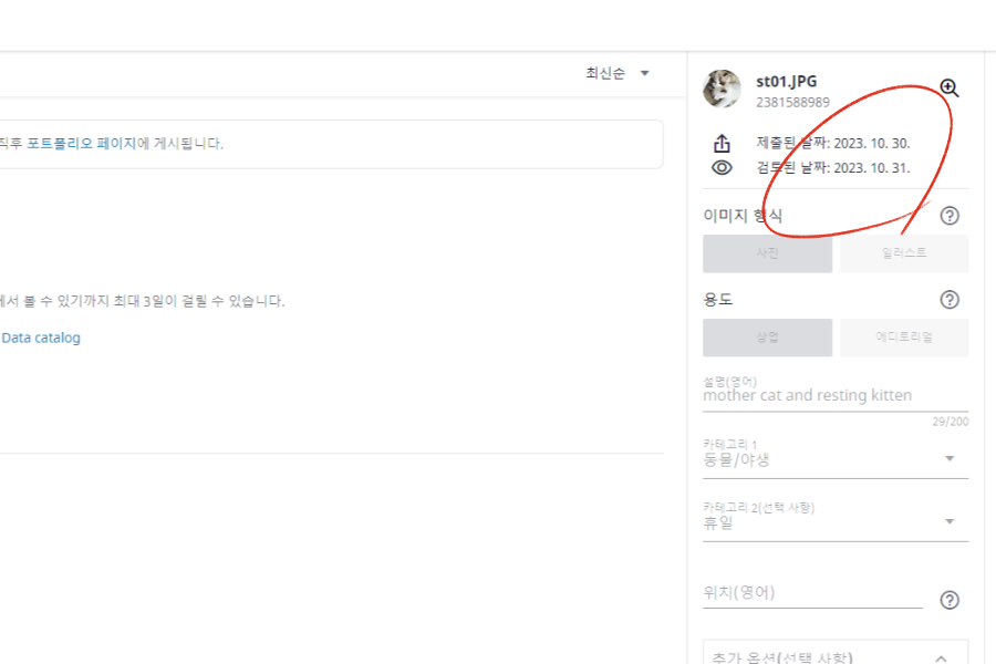 승인-성공-후-이미지-제츨-날짜와-검토-완료된-날짜가-확인된-화면
