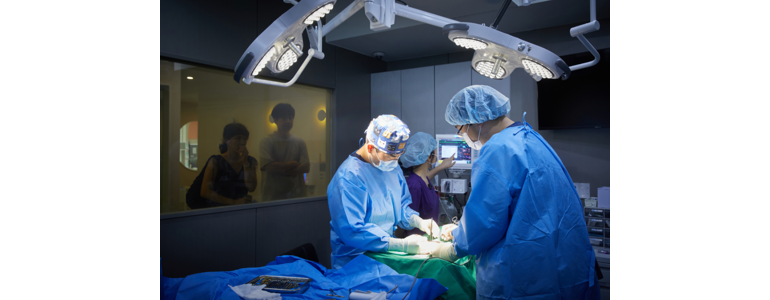 서울 은평구 동물병원