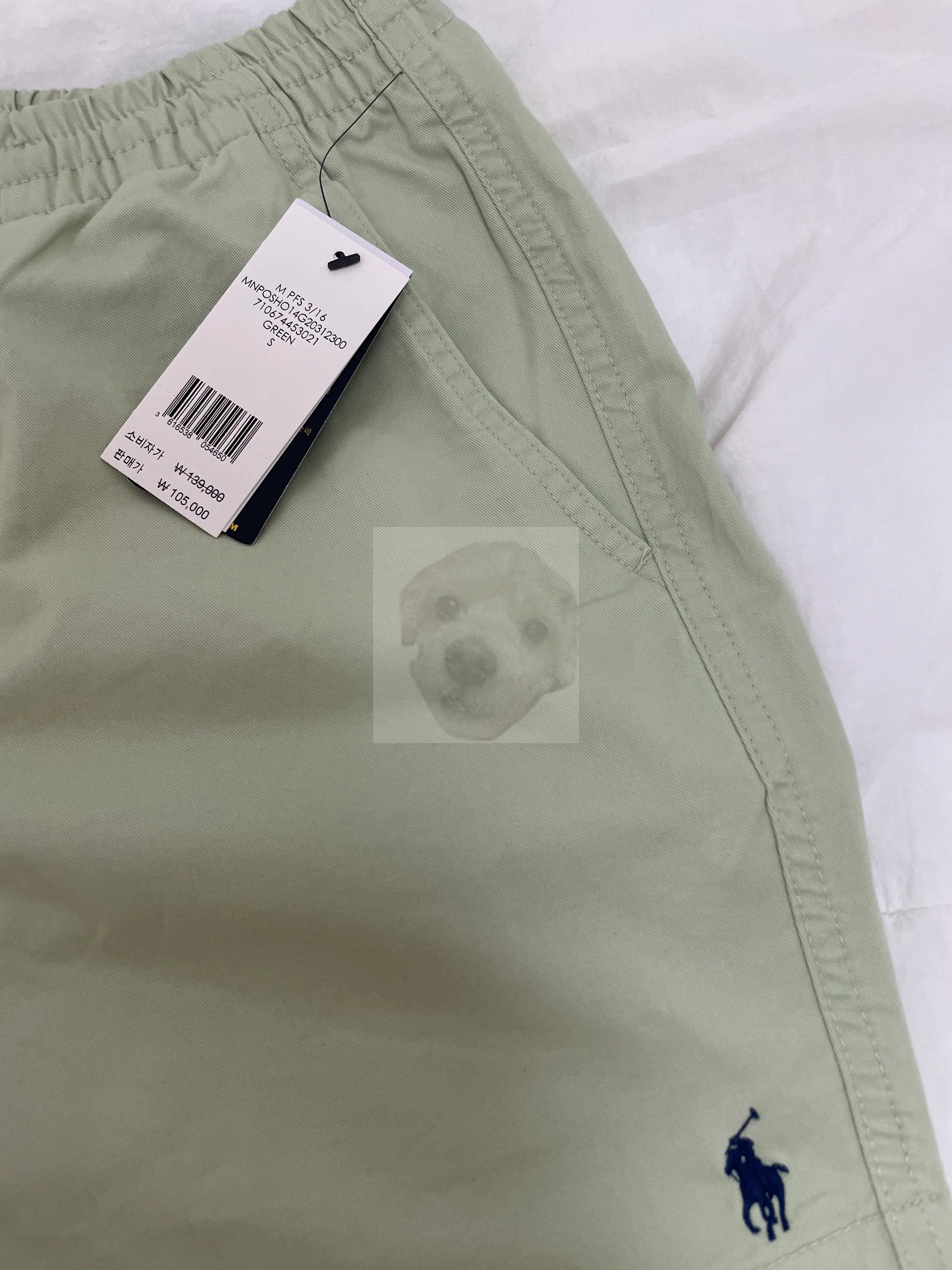 폴로 반바지는 매 년 구매하자