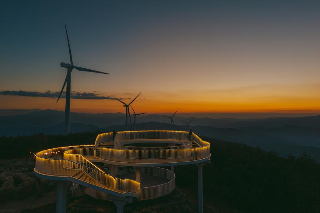 거창 별바람언덕 샤스타데이지