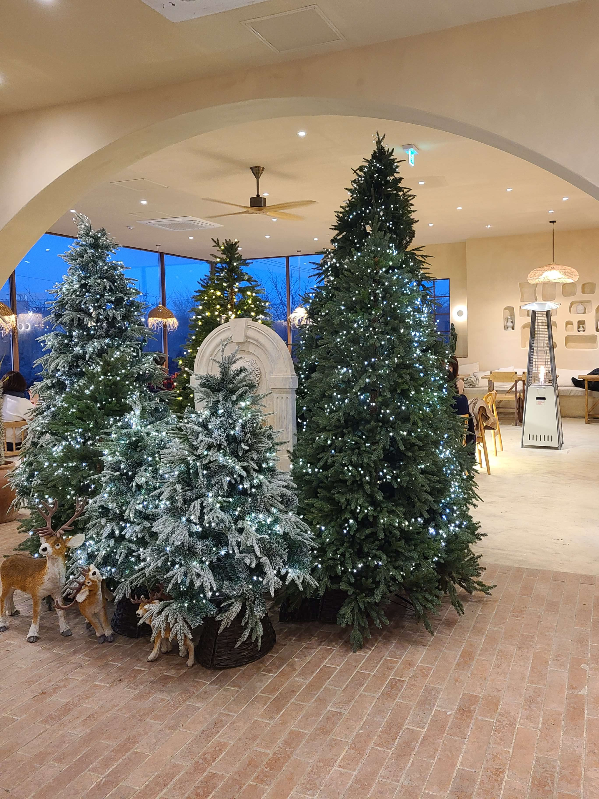 애견동반카페 도나스데이