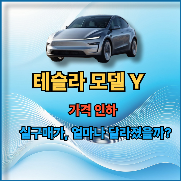 테슬라 모델 Y