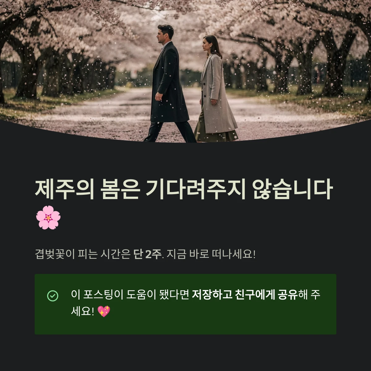 제주의 봄은 기다려주지 않습니다