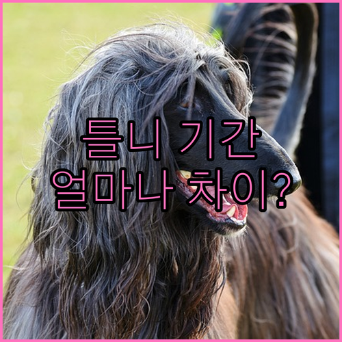 틀니 제작 기간, 발치와 잇몸 상태에